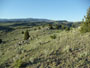 views of Alder Gulch Ranch in the Ruby Valley of Montana