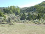 views of Alder Gulch Ranch in the Ruby Valley of Montana