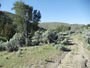 views of Alder Gulch Ranch in the Ruby Valley of Montana