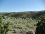 views of Alder Gulch Ranch in the Ruby Valley of Montana