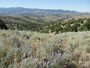 views of Alder Gulch Ranch in the Ruby Valley of Montana